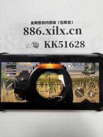 无敌从挂机开始